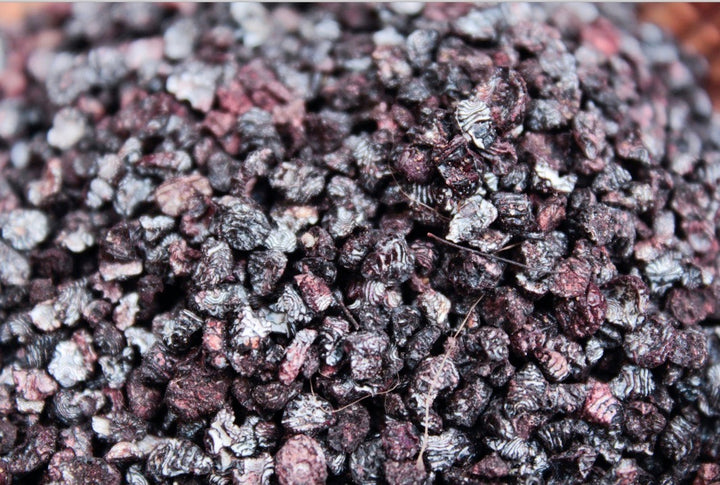 Cochineal