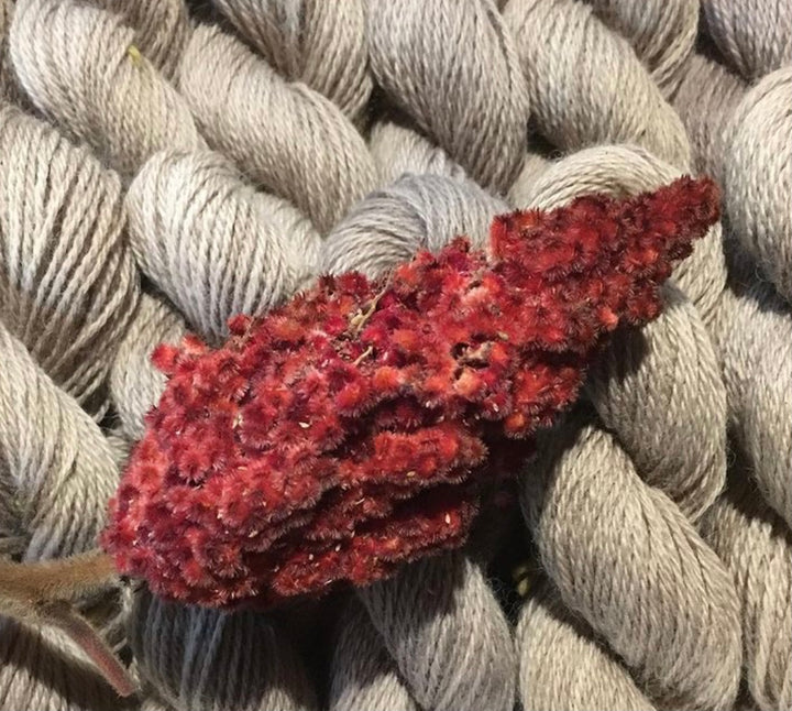 Sumac