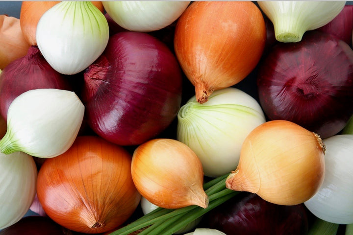Onion