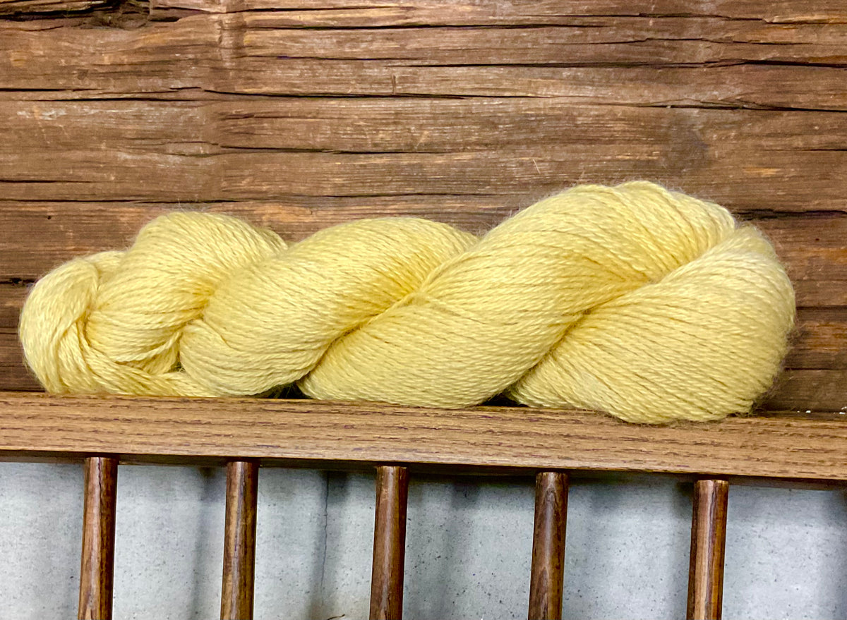 DK - Wensleydale “ Marigold”