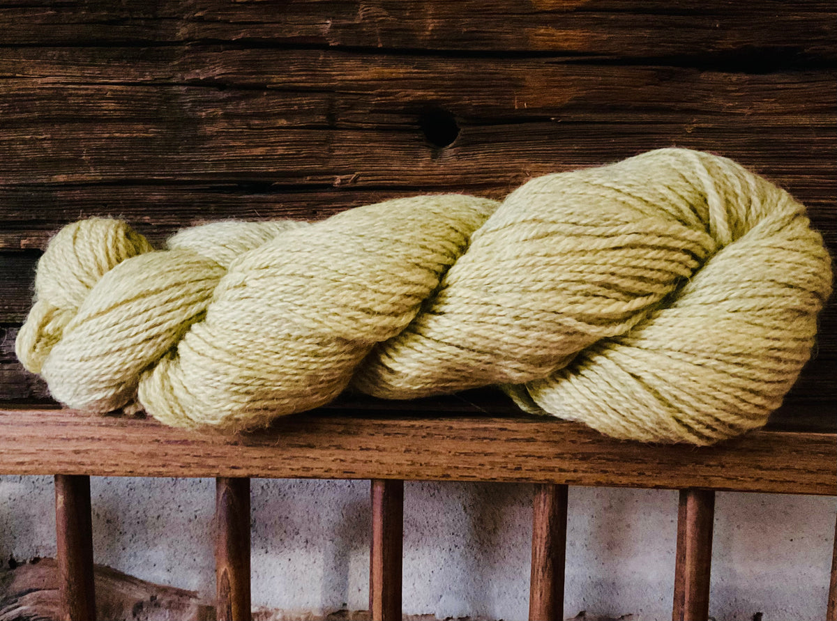 DK - BFL/GOTLAND "Marigold”