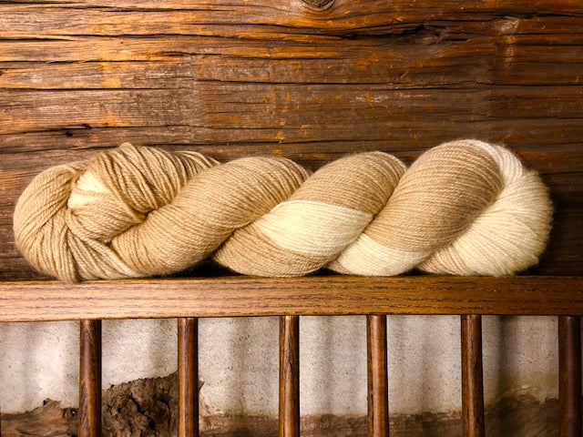 Fingering/Sock  BFL / Nylon "Cannabis/Sumac"
