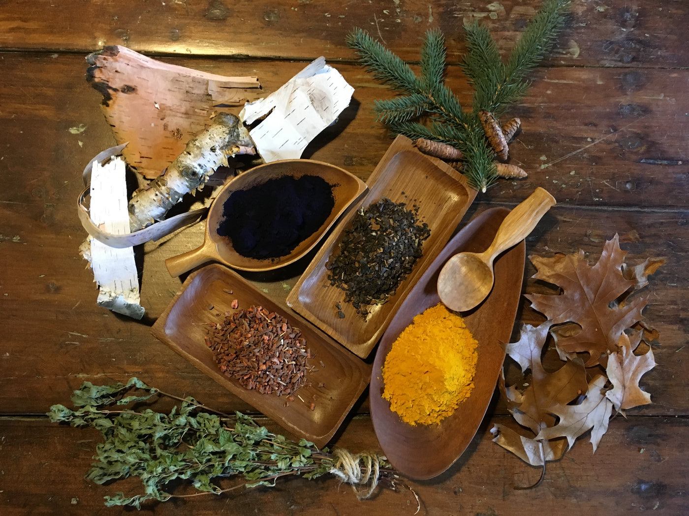 Wooden bowls of indigo, cutch and marigold dye powders with birch bark, spruce boughs and oak leaves on a plank table